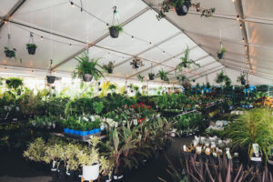 greenhouse marquee with hanging plants